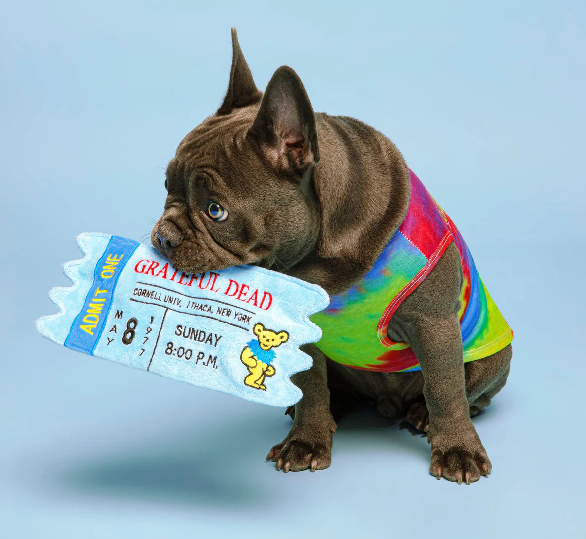 CORNELL CONCERT TICKET Grateful Dog Toy by FabDog